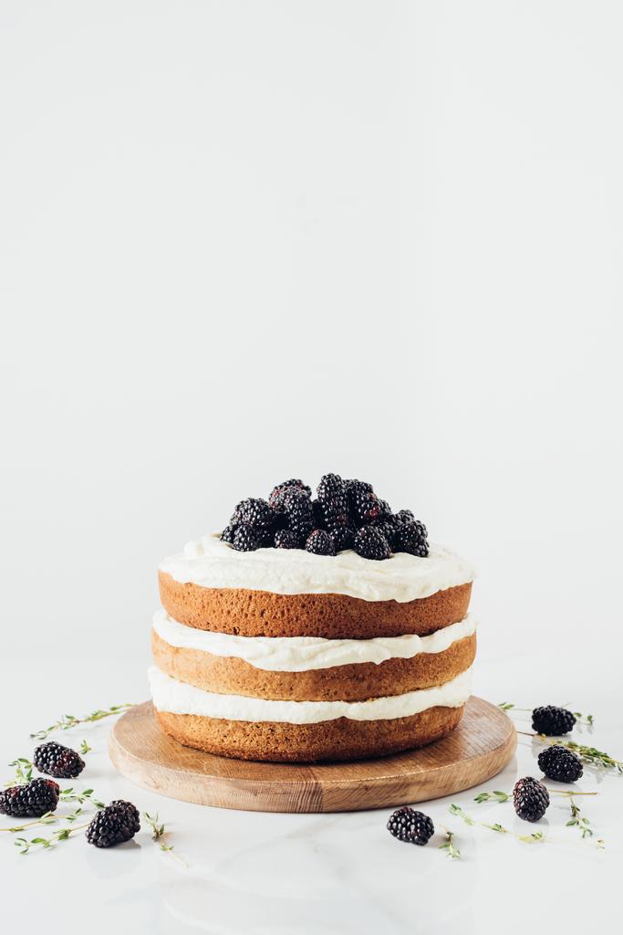 freshly baked blackberry cake on wooden cutting board on white - Photo, Image