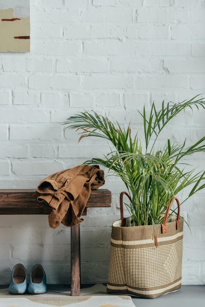 Jaqueta em banco de madeira no corredor em casa, vaso de palmeira em cesta no chão
 - Foto, Imagem