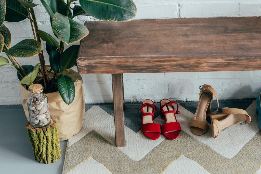zapatos diferentes debajo de banco de madera en el pasillo en casa, ficus en maceta en el suelo
 - Foto, Imagen