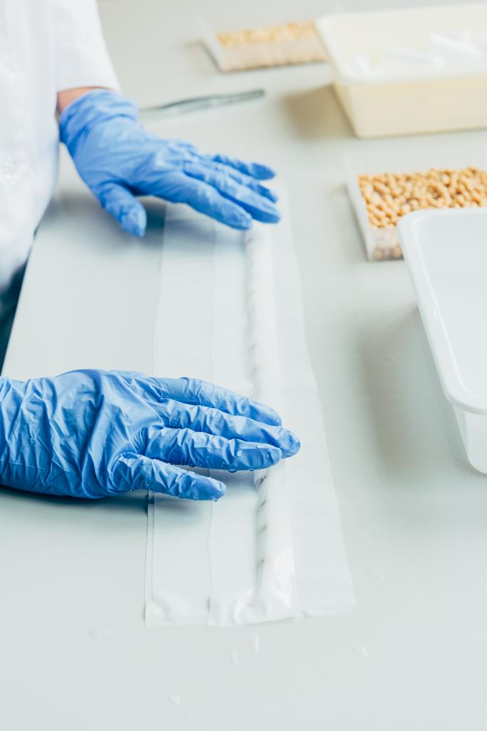 частичный взгляд биолога в латексных перчатках, работающего за столом с семенами в агролаборатории
  - Фото, изображение