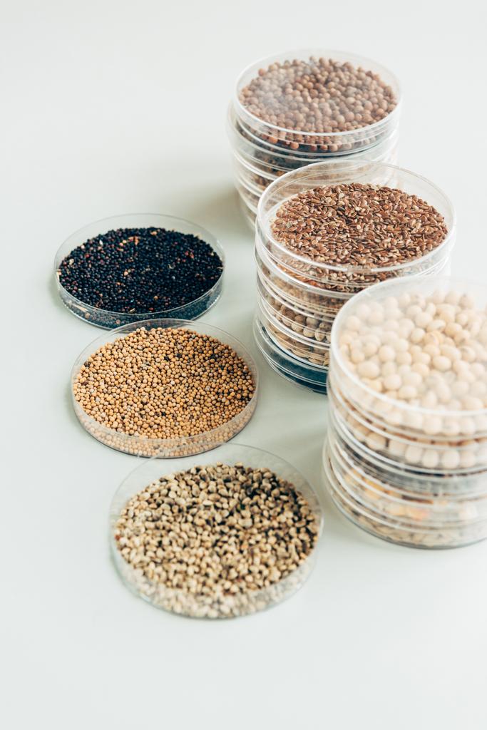 enfoque selectivo de varias semillas en envases de plástico en el moderno agrolaboratorio
  - Foto, Imagen