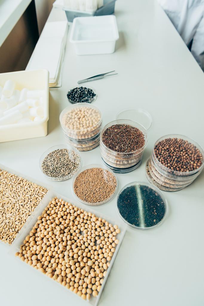 農業研究所のテーブルでプラスチック容器に様々 な種子のハイアングル  - 写真・画像