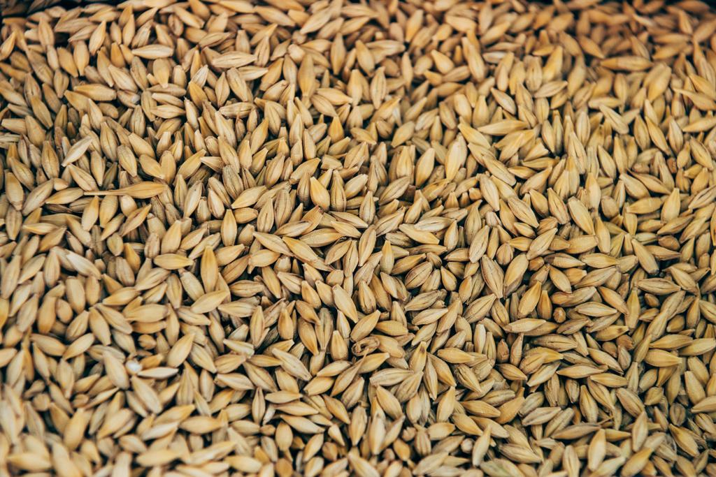 full frame image of pile of grains background  - Photo, Image