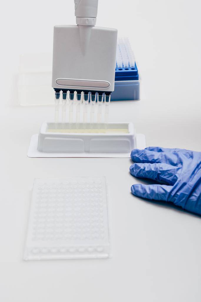 abgeschnittenes Bild eines Wissenschaftlers mit Mehrkanal-Pipette am Arbeitstisch mit Kolben im Biotechnologielabor  - Foto, Bild