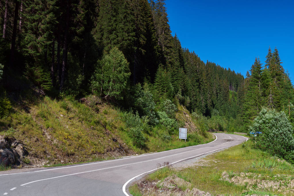 Camino de asfalto que va a las montañas a través de bosques de pinos
 - Foto, Imagen