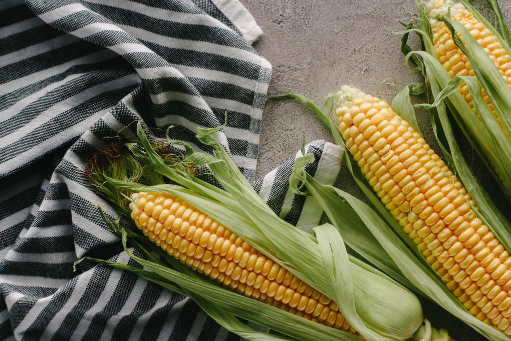 vista superior de mazorcas de maíz fresco sobre ropa de cama sobre mesa de hormigón
 - Foto, imagen