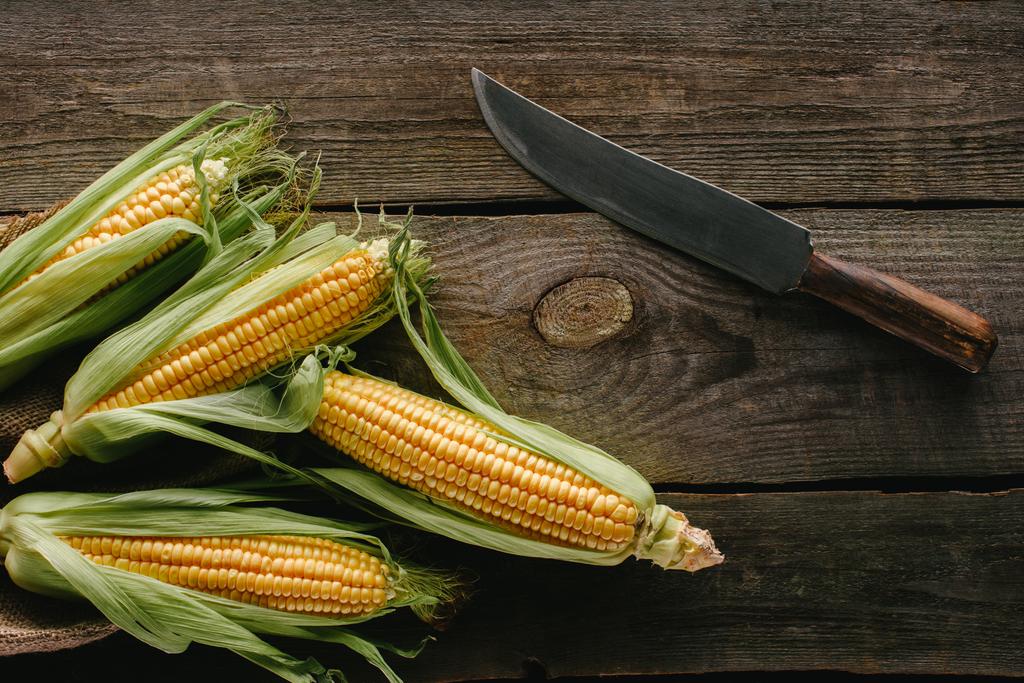 Widok z góry z kolb kukurydzy surowe świeże i nóż na drewnianym blatem - Zdjęcie, obraz