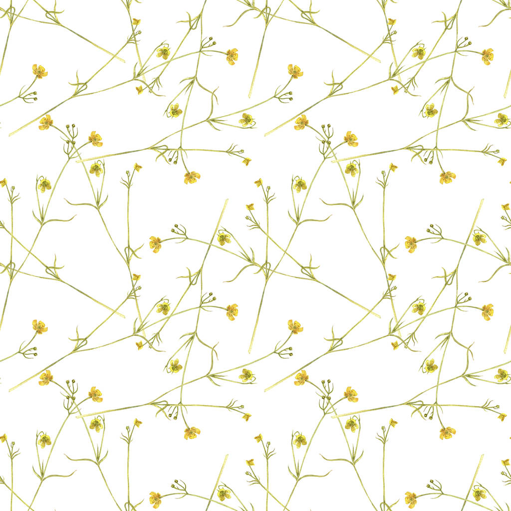 Wzór z kwiatami jaskier łące - Zdjęcie, obraz
