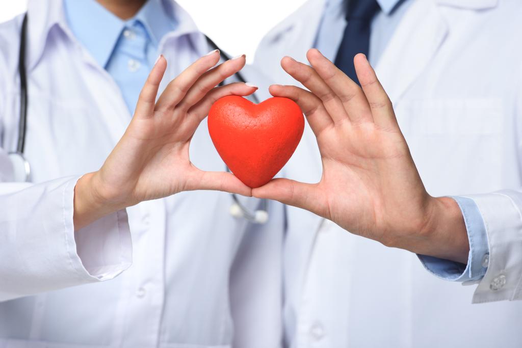 Μερική άποψη των δύο γιατρούς που κατέχουν κόκκινο καρδιά στα χέρια, απομονώνονται σε λευκό - Φωτογραφία, εικόνα