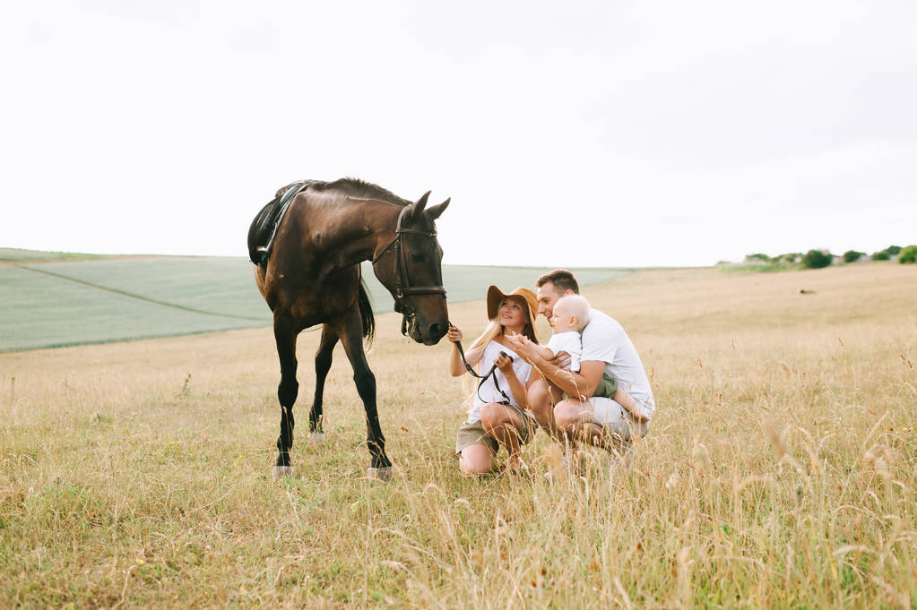 jovem família se divertir no campo. Pais e criança com um cavalo no campo
  - Foto, Imagem