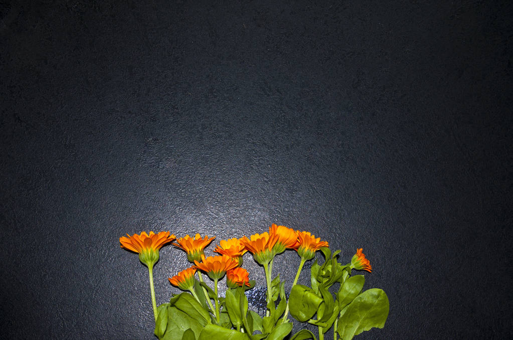 bir sürü siyah bir zemin üzerine turuncu çiçek - Fotoğraf, Görsel