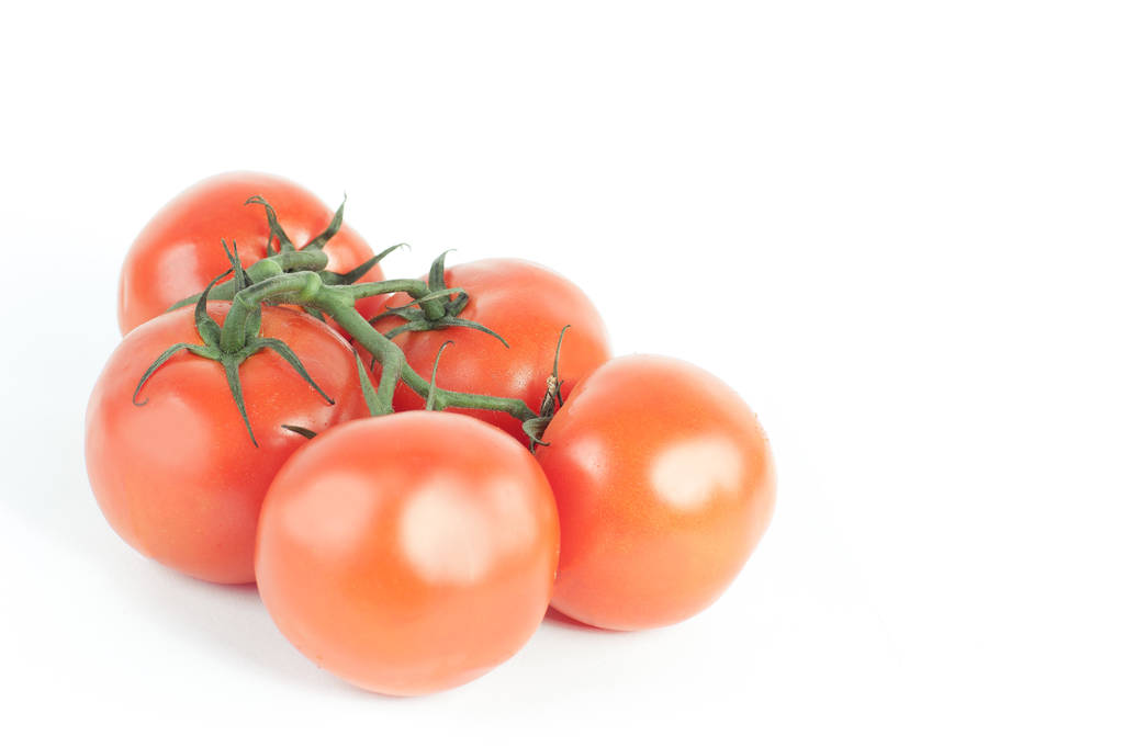 tomaten op een tak .isolated witte achtergrond - Foto, afbeelding