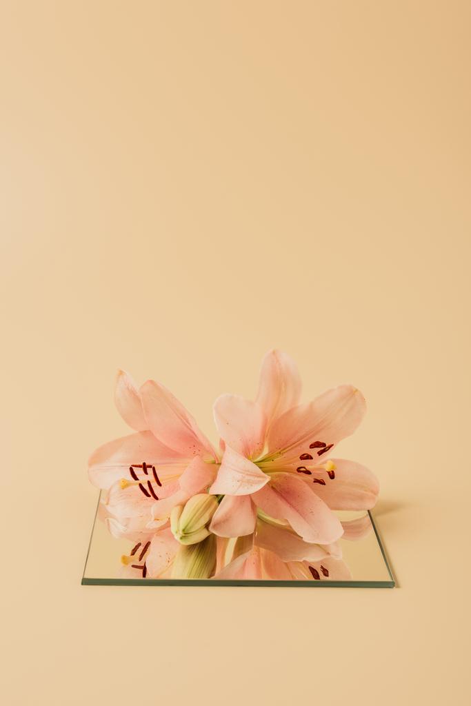ベージュ テーブル上のミラーにユリの花  - 写真・画像