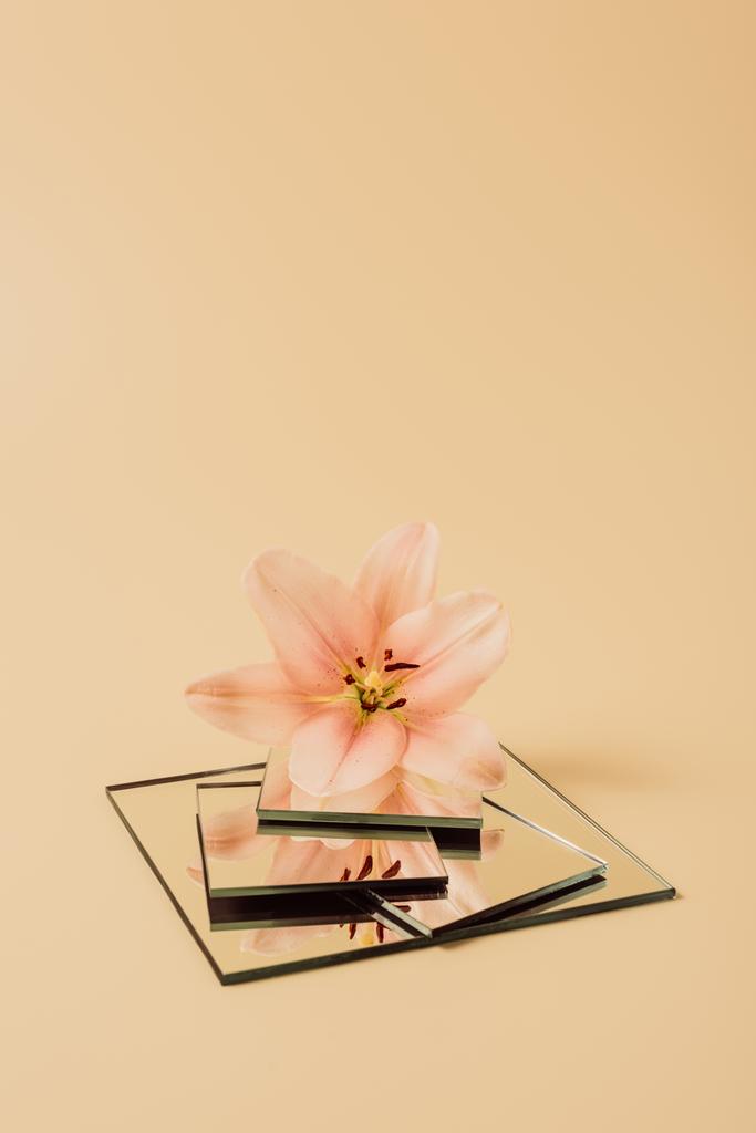 красивый цветок лилии, отражающийся в зеркалах на бежевом столе
  - Фото, изображение