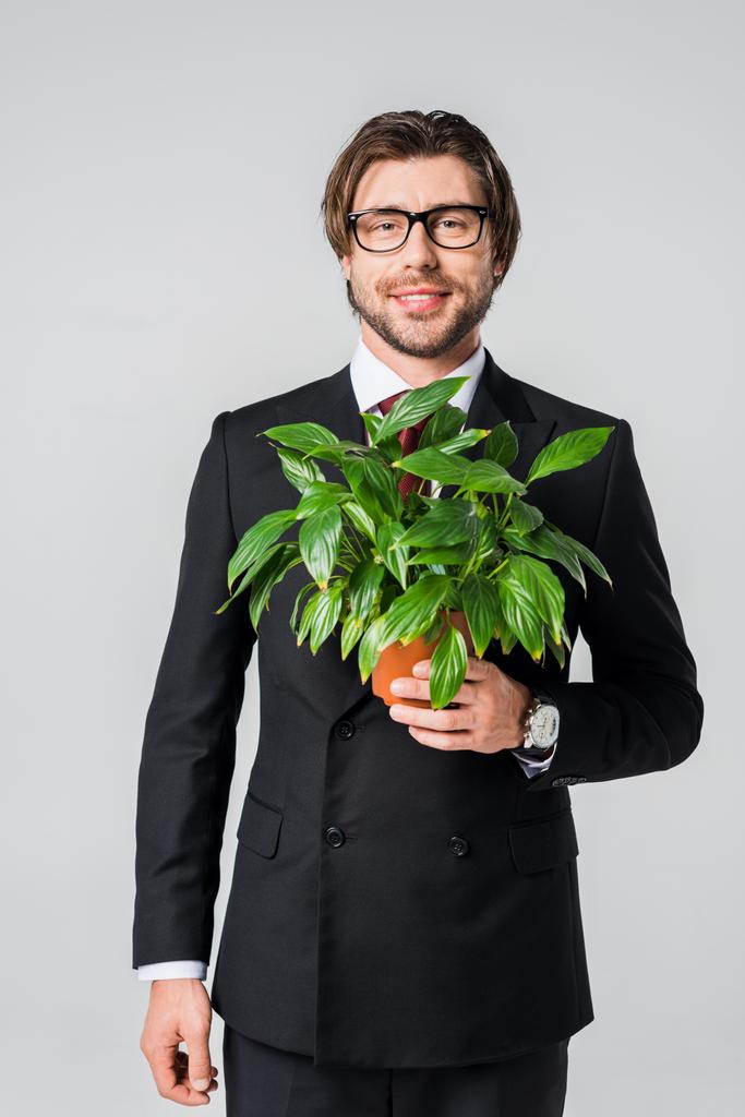 χαμογελώντας επιχειρηματία σε κοστούμι και γυαλιά με πράσινο φυτό σε γλάστρα που απομονώνονται σε γκρι - Φωτογραφία, εικόνα
