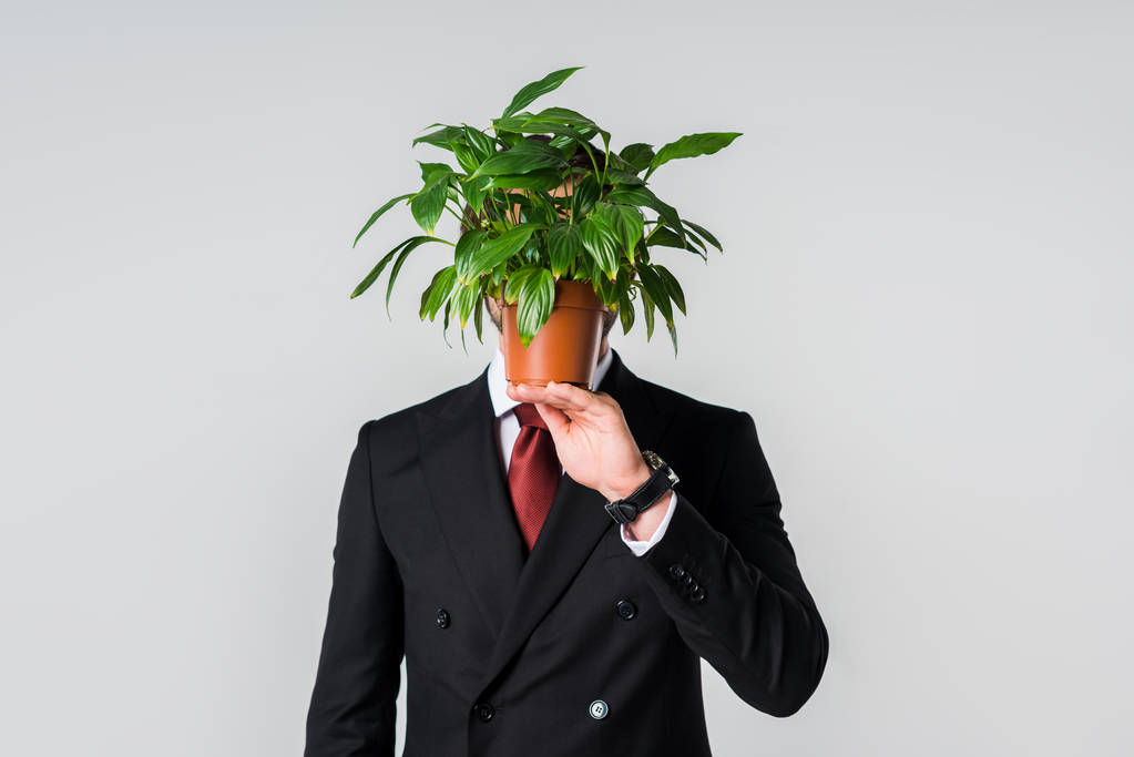 затемнений вид бізнесмена в костюмі з зеленою рослиною в вазоні ізольовано на сірому
 - Фото, зображення