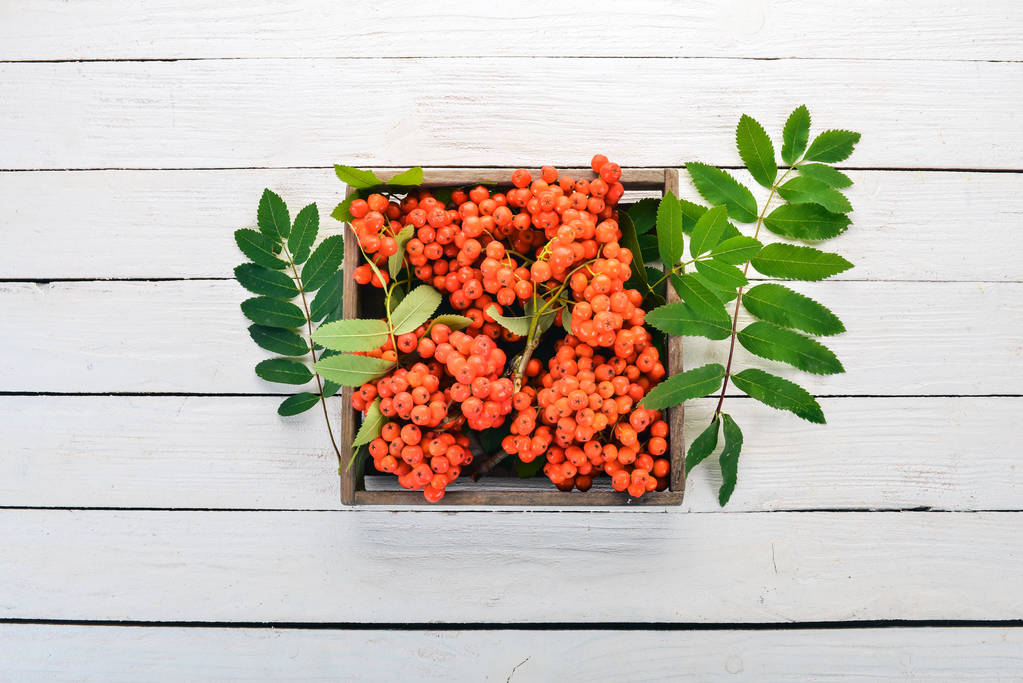 Red rowanberry in a wooden box. On a white wooden background. Top view. Free space for your text. - Photo, Image