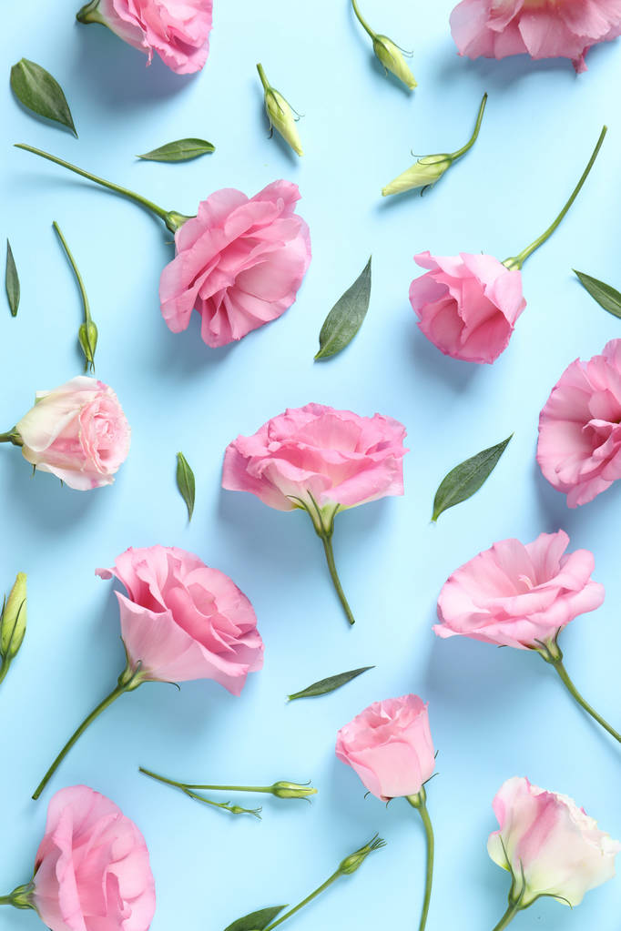 Renk arka plan üzerinde güzel Eustoma çiçekli düz yatıyordu kompozisyon - Fotoğraf, Görsel