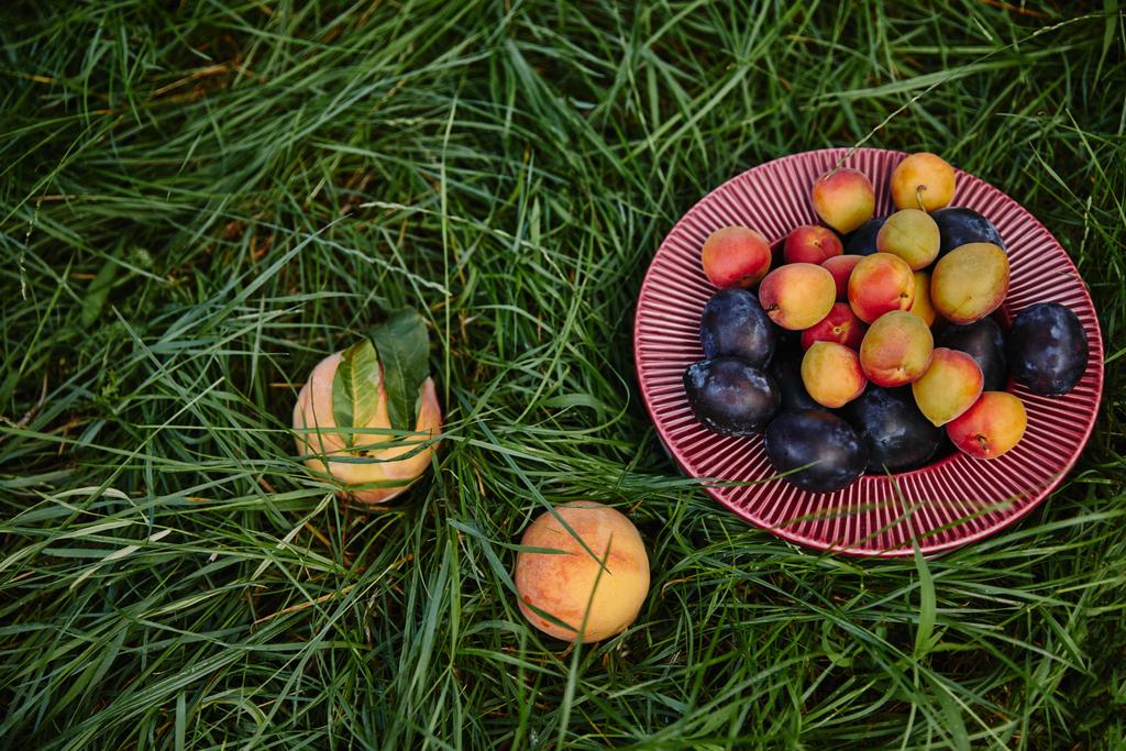bovenaanzicht van pruimen en perziken op groen gras in de tuin - Foto, afbeelding