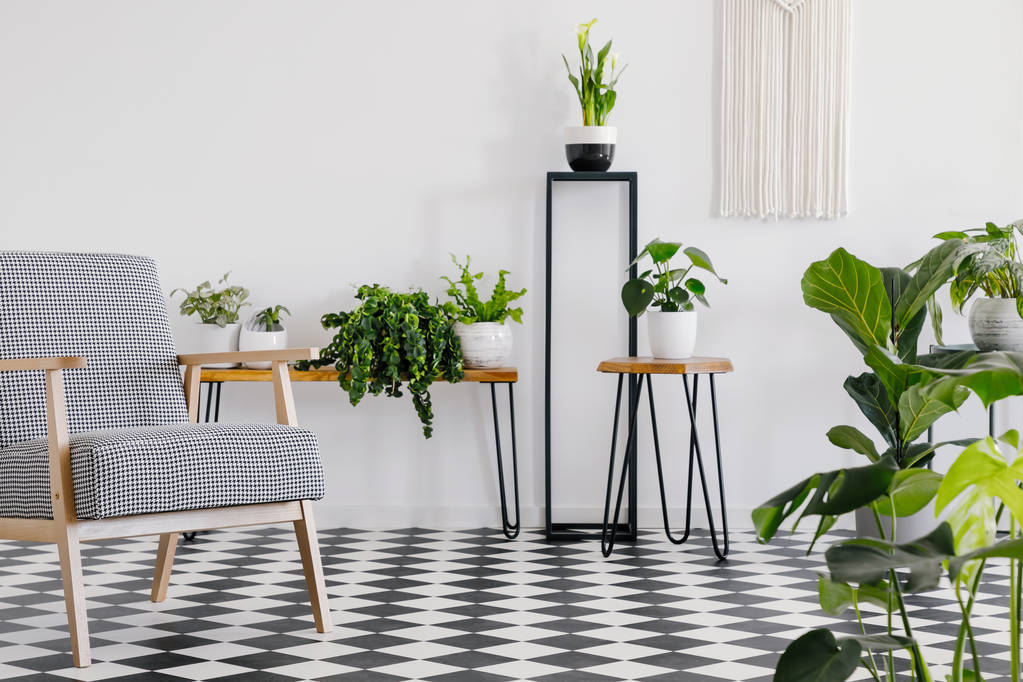 植物と白のリビング ルームのインテリアの市松模様の床の上にパターン化された椅子。実際の写真 - 写真・画像