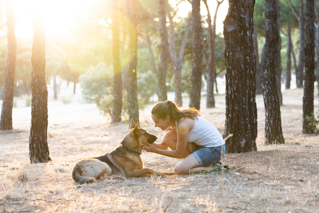 Kobieta, nauczania i kochającym psem - Zdjęcie, obraz