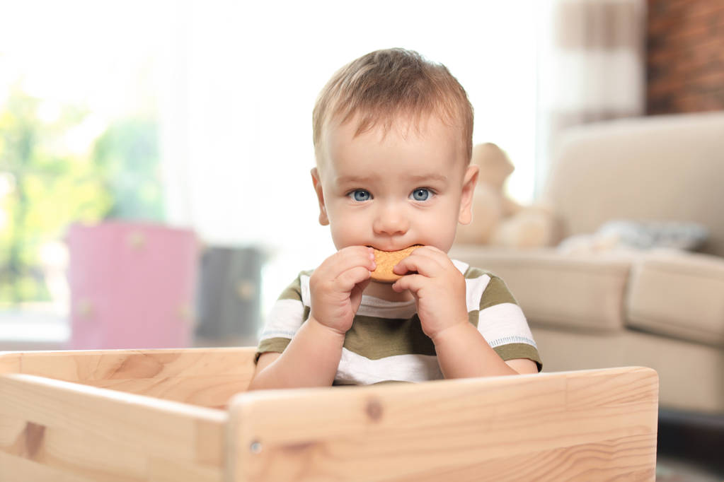 Adorable little baby eating tasty cookie indoors - Photo, Image
