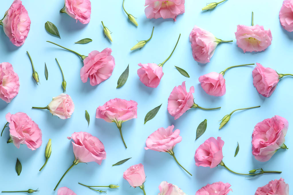 Composición plana con hermosas flores de Eustoma sobre fondo de color
 - Foto, imagen