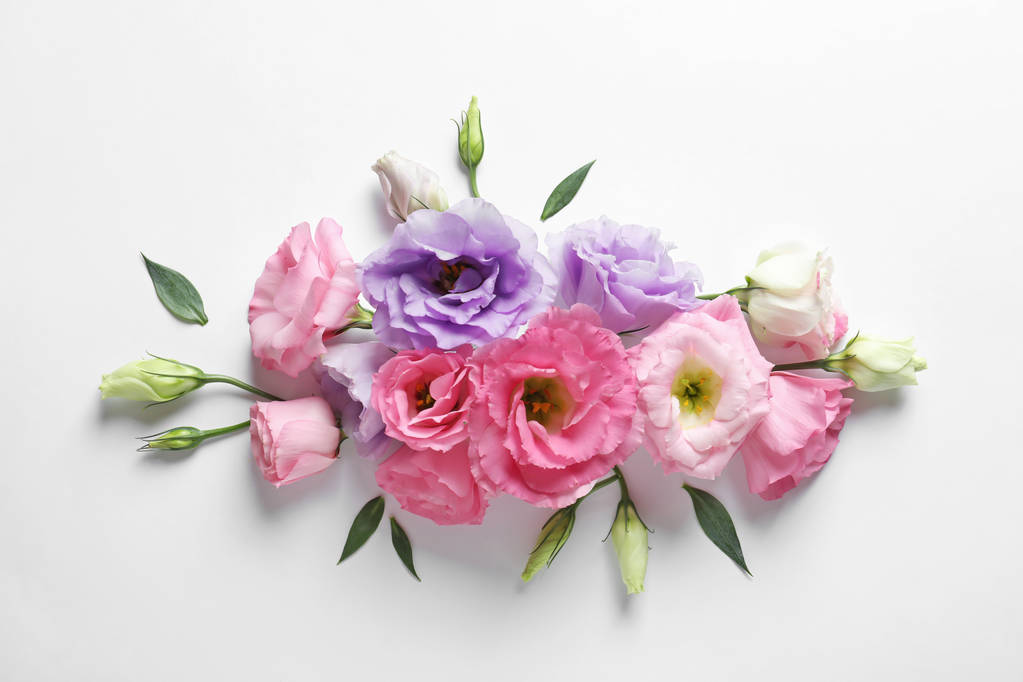 Tasainen lay koostumus kaunis Eustoma kukkia kevyellä taustalla
 - Valokuva, kuva