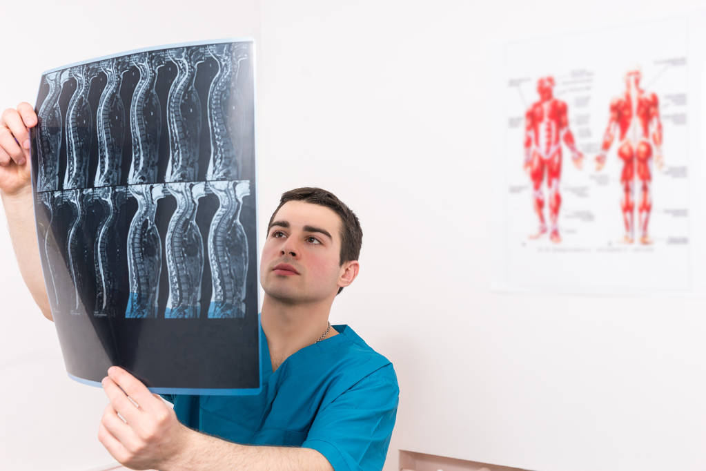 Gyógytornász, röntgenológus vagy orvos az emberi gerinc betöltő fény a röntgen vizsgálata egy irodában anatómiai ábrák - Fotó, kép