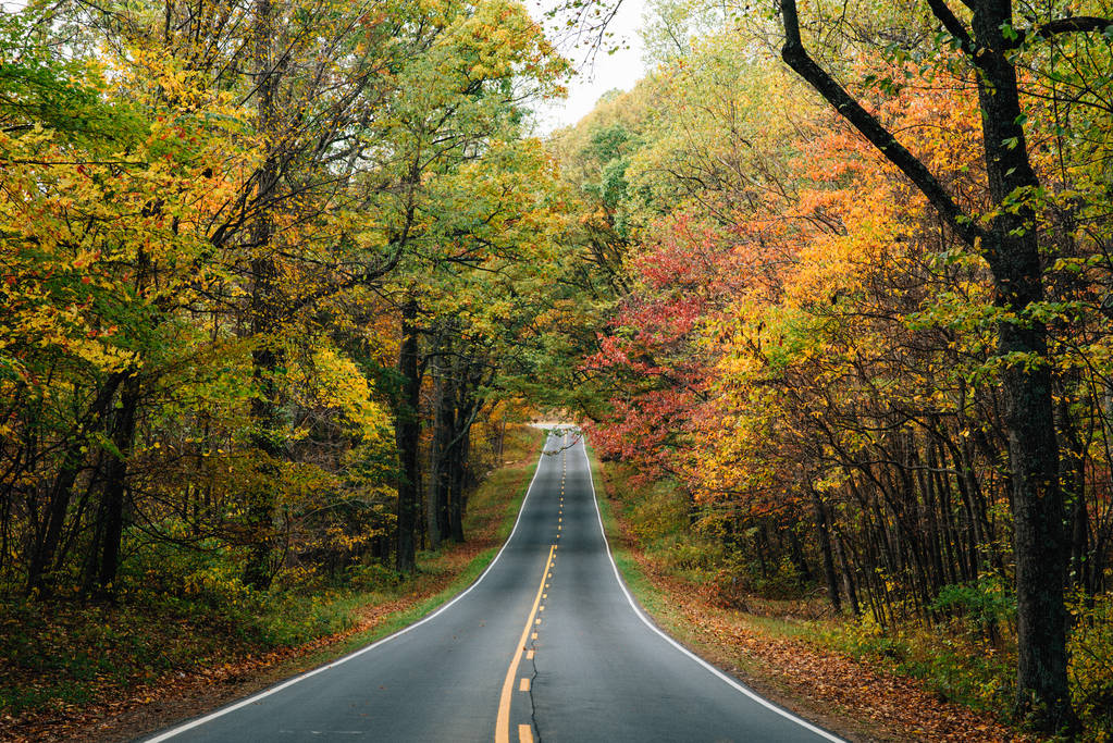 シェナンドー国立公園、バージニア州のスカイライン · ドライブに沿って初期の秋の色 - 写真・画像