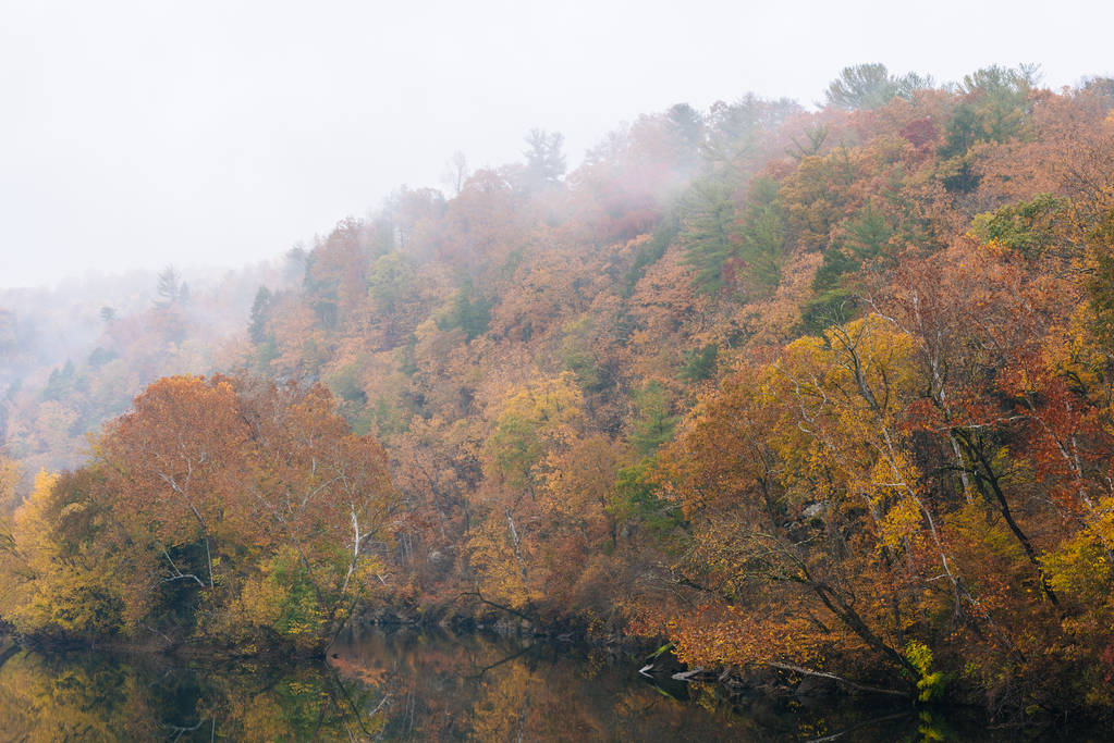 Туман и осенний цвет на реке Джеймс, с Блю Ридж Паркуэй в Вирджинии
. - Фото, изображение