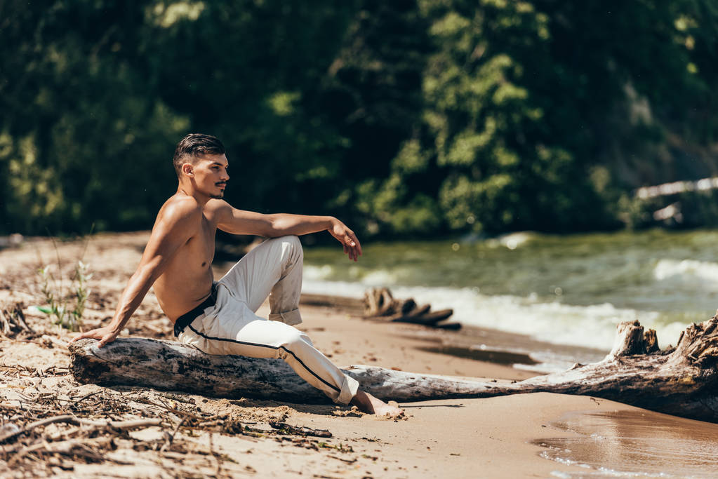 handsome shirtless man sitting on tree trunk on sandy beach - Photo, Image