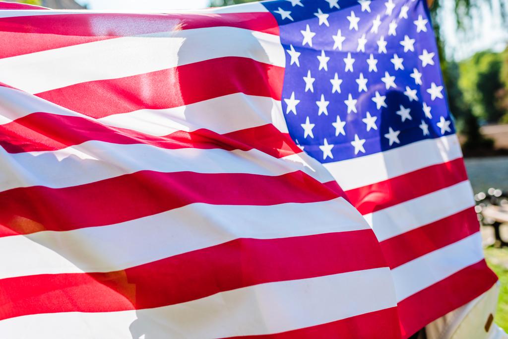 gedeeltelijke weergave van man die van de Amerikaanse vlag in handen in park - Foto, afbeelding