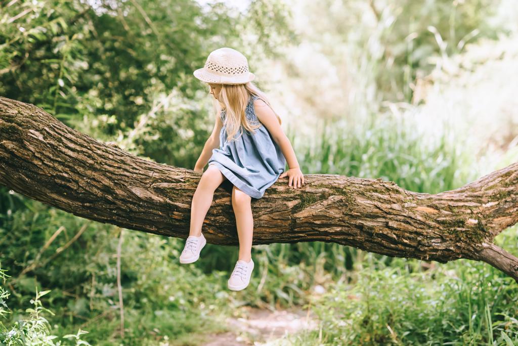 дитина в блакитній сукні і солом'яному капелюсі сидить на дереві влітку
 - Фото, зображення