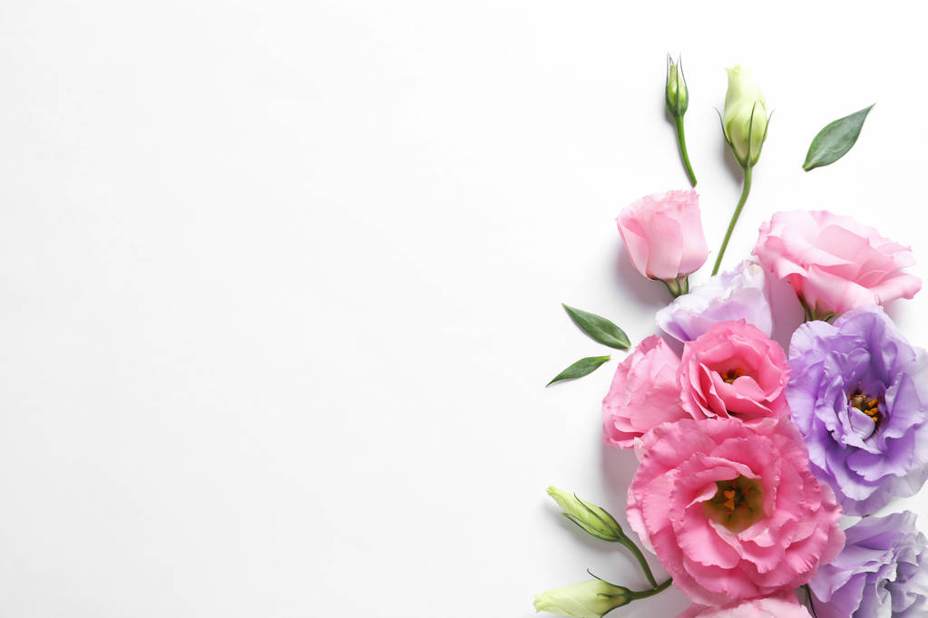 Plat lag samenstelling met prachtige Eustoma bloemen op lichte achtergrond - Foto, afbeelding
