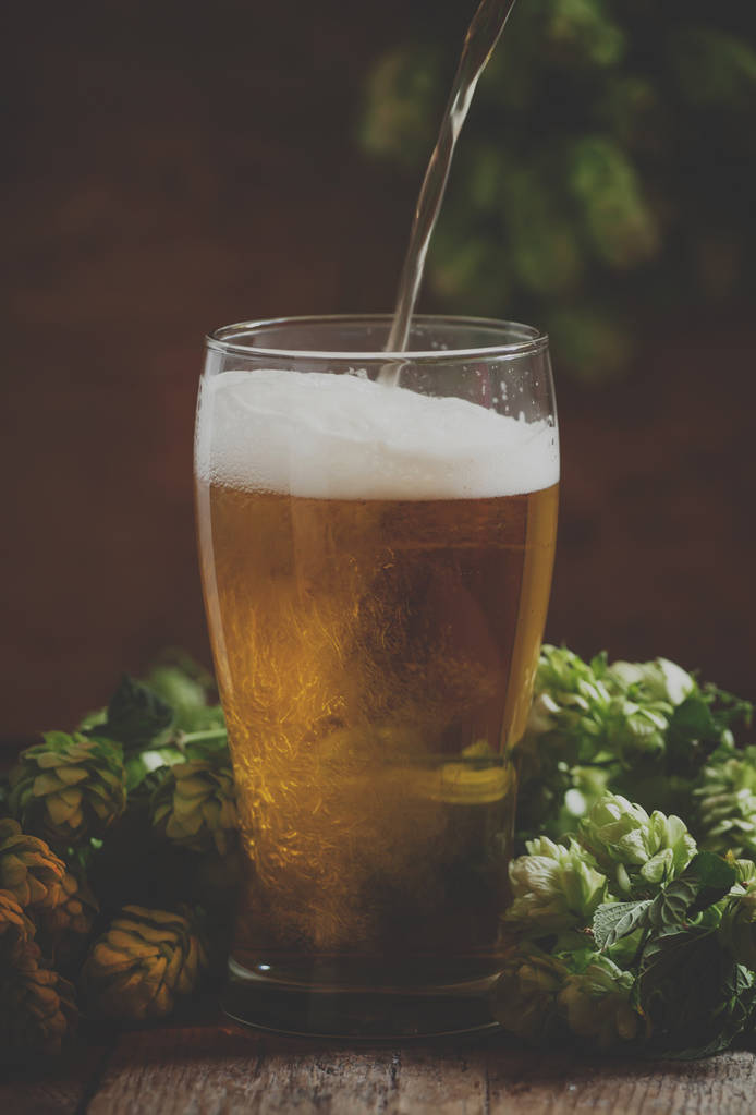 vidro de cerveja espumosa e cones de lúpulo no fundo de madeira velha
  - Foto, Imagem