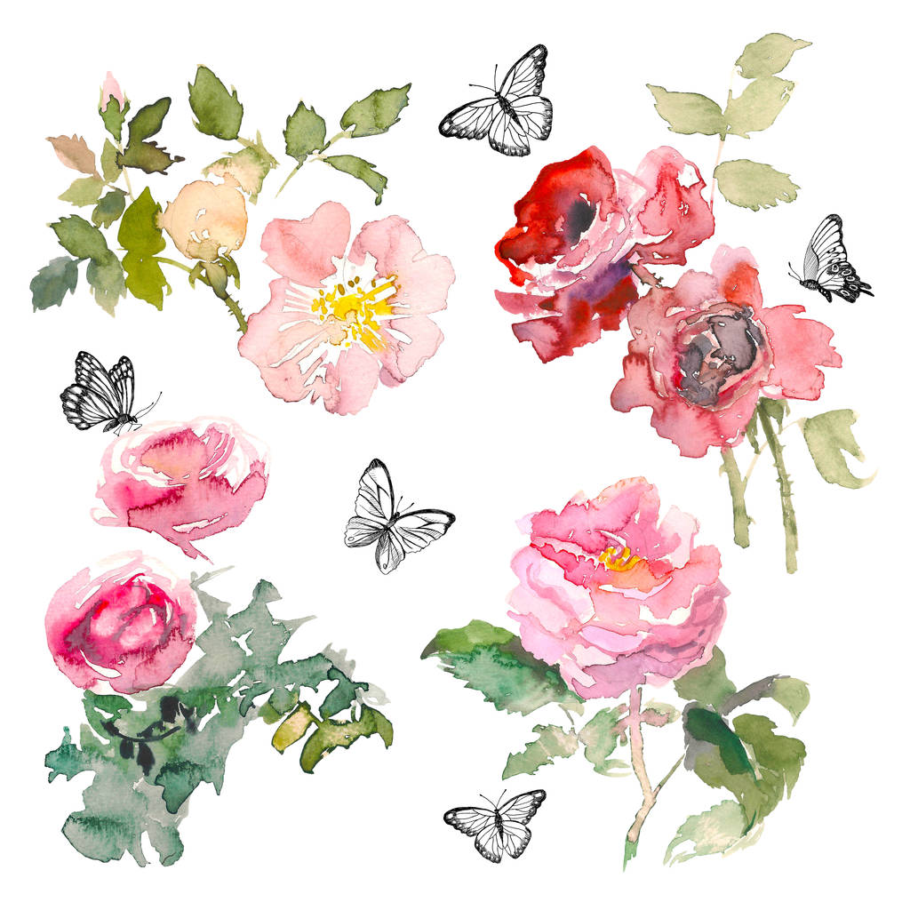 Watercolor element of garden roses and green leaves with butterfly on the white background. Watercolor romantic garden flowers sketch. Card template with message Summer. - Photo, Image