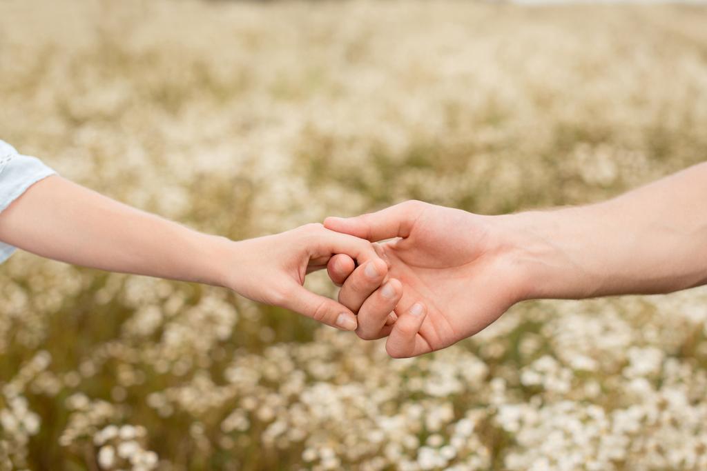visão parcial dos amantes de mãos dadas com flores silvestres no fundo
 - Foto, Imagem