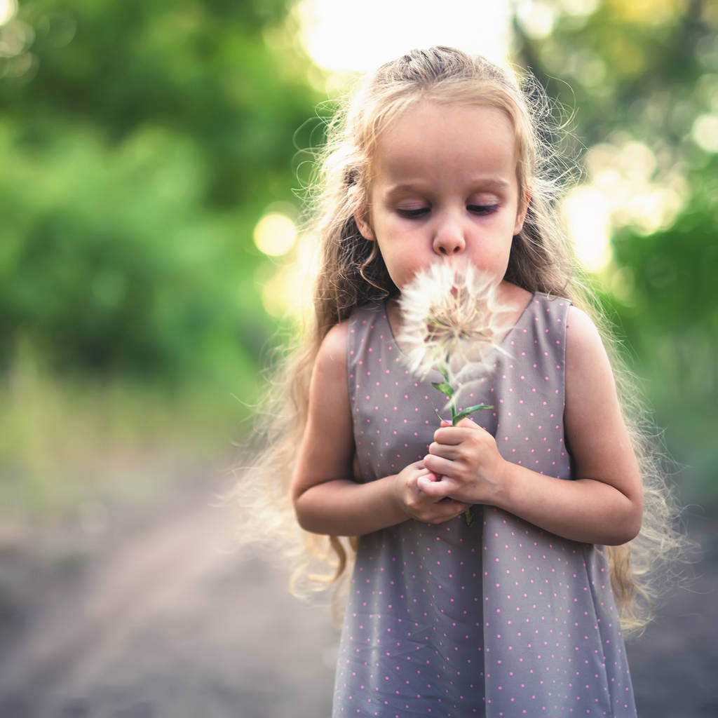 Ваш ребенок держит цветок одуванчика осенью.
 - Фото, изображение