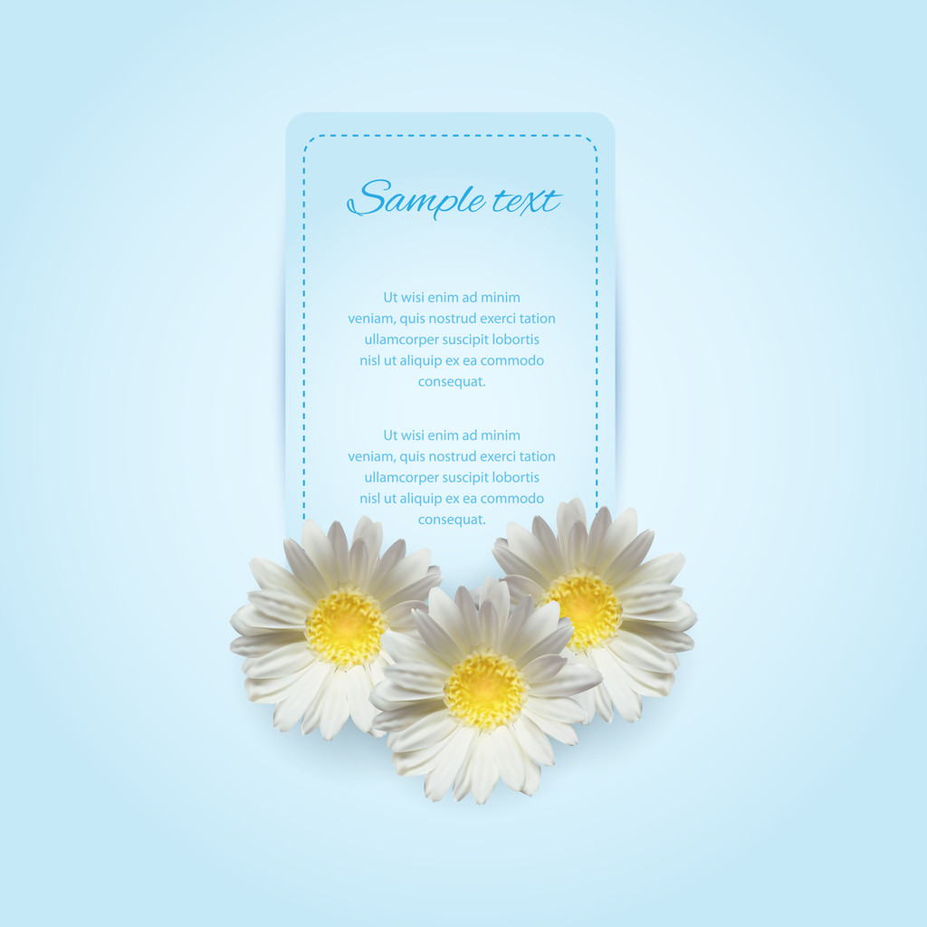 Invitation card on the blue background with camomile - Vector, Image