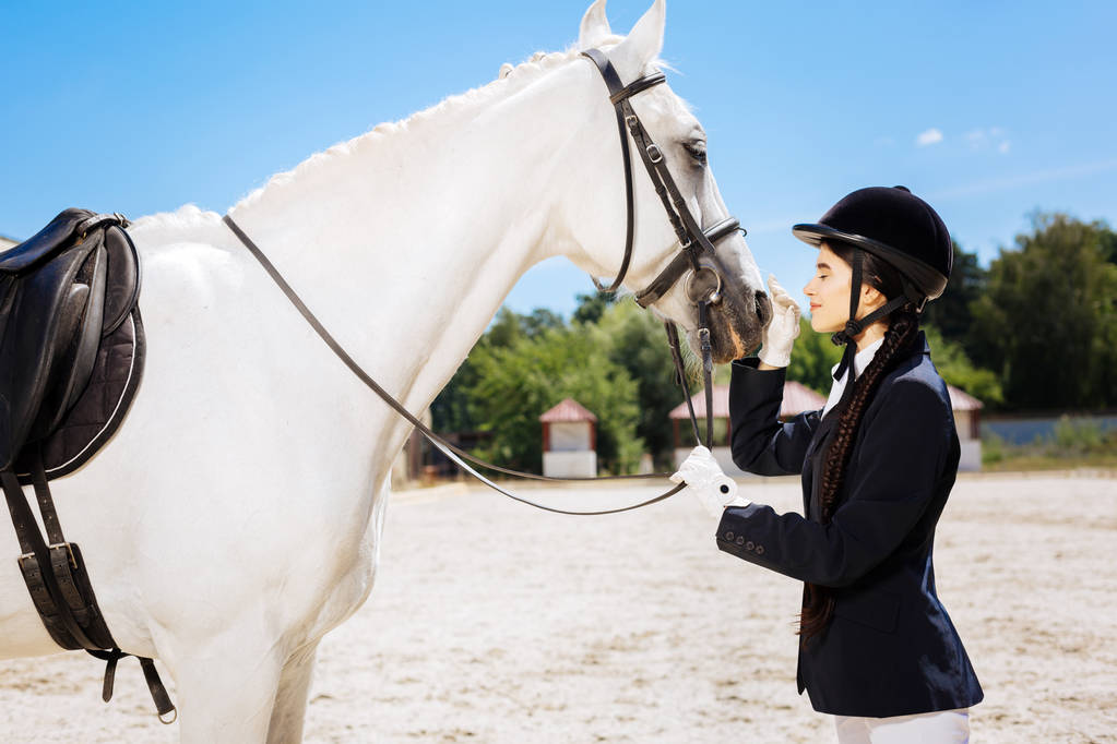 Kaunis hoikka nainen rakastaa hevosurheilua katsomalla valkoista hevosta
 - Valokuva, kuva