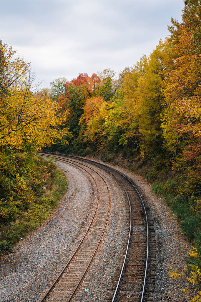 Fall color and railroad tracks in Remington, Baltimore, Maryland - Photo, Image