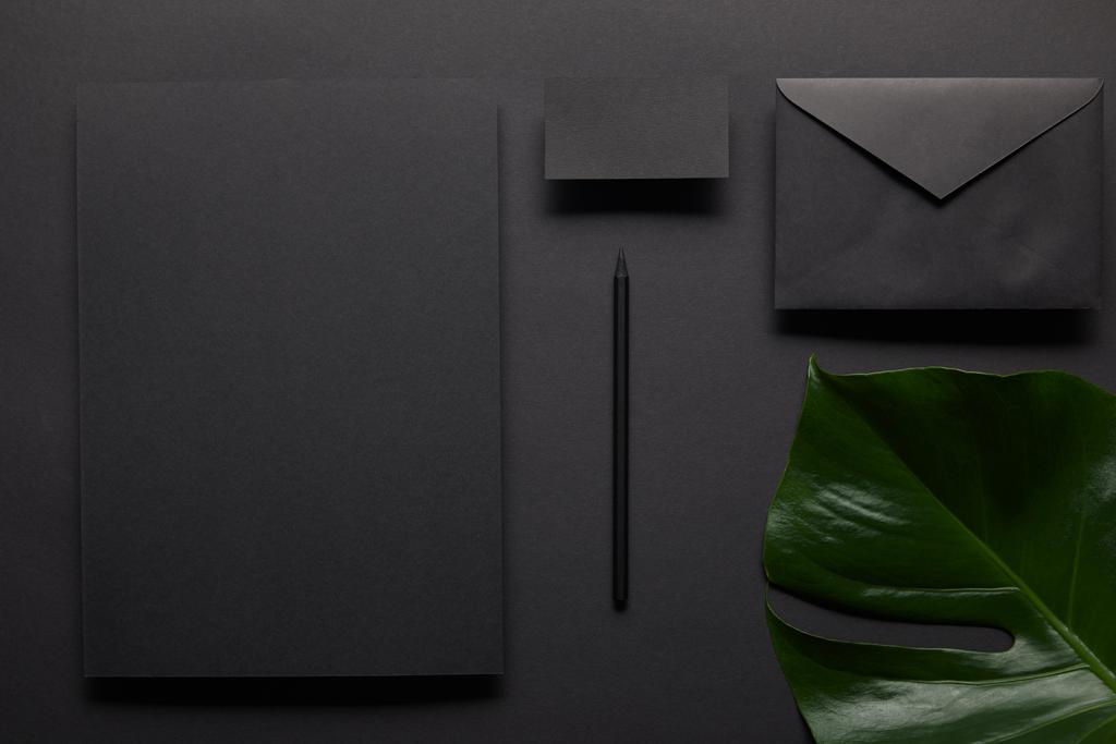 Modèle d'affaires avec carnet noir sur fond noir avec feuille de monstera
 - Photo, image
