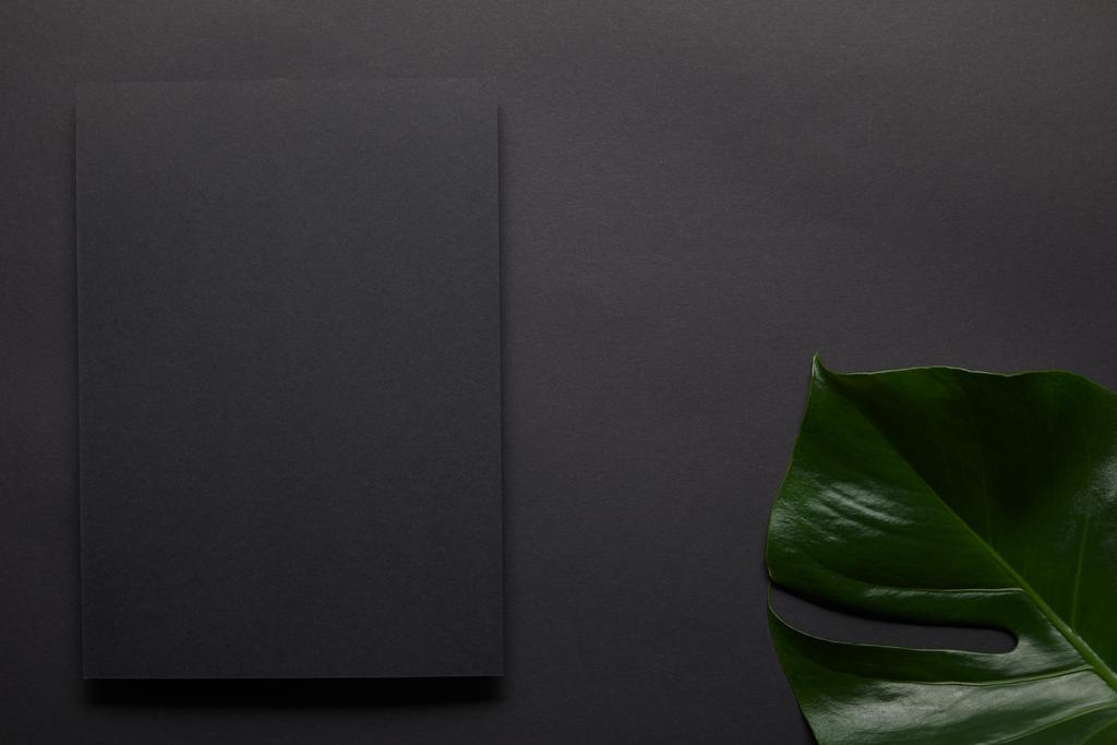 Cuaderno negro sobre fondo negro con hoja de monstera
 - Foto, imagen