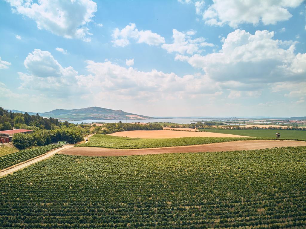 Veduta aerea dei campi agricoli e cielo con nuvole, Repubblica Ceca
 - Foto, immagini