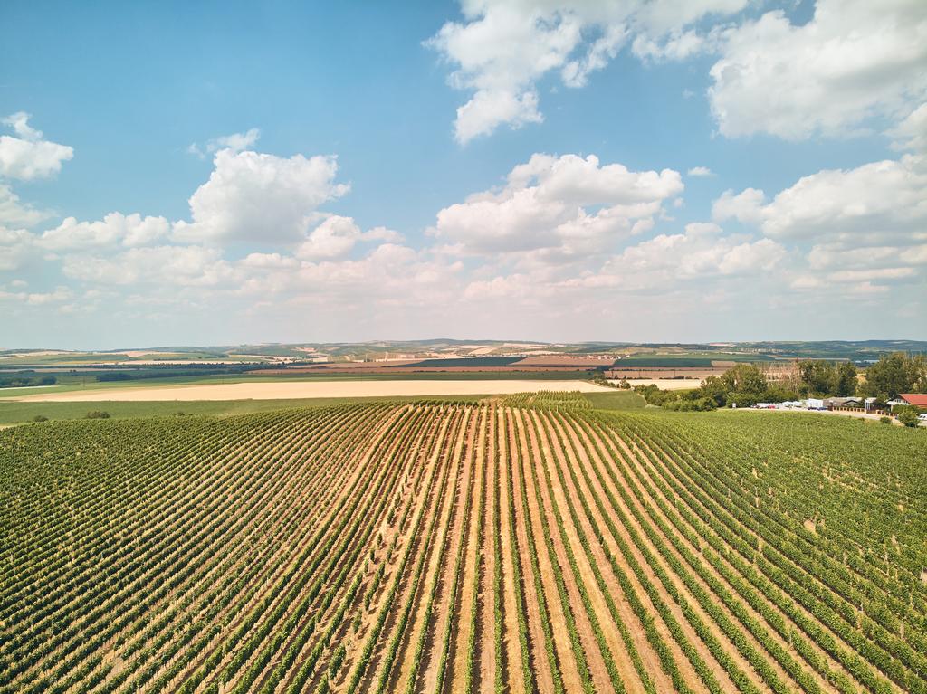 Veduta aerea dei campi agricoli e cielo con nuvole, Repubblica Ceca
 - Foto, immagini