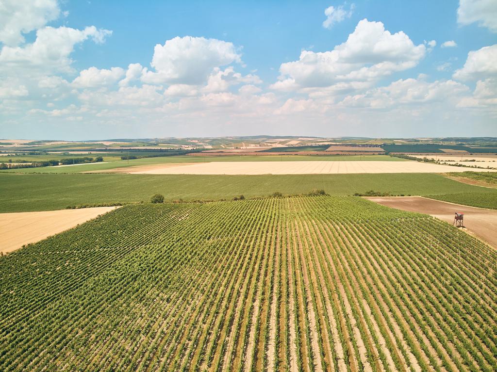 Aerial view of fields and blue sky with clouds, Czech Republic - Photo, Image