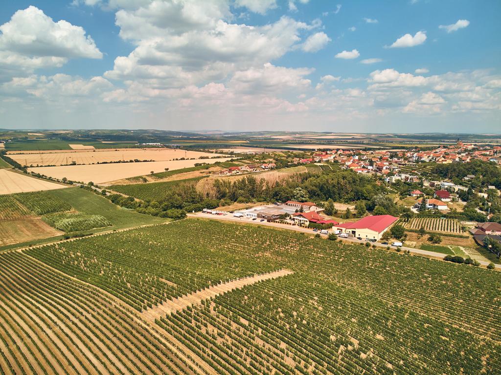 Luftaufnahme von Häusern und Feldern vor blauem Himmel mit Wolken, Tschechische Republik - Foto, Bild