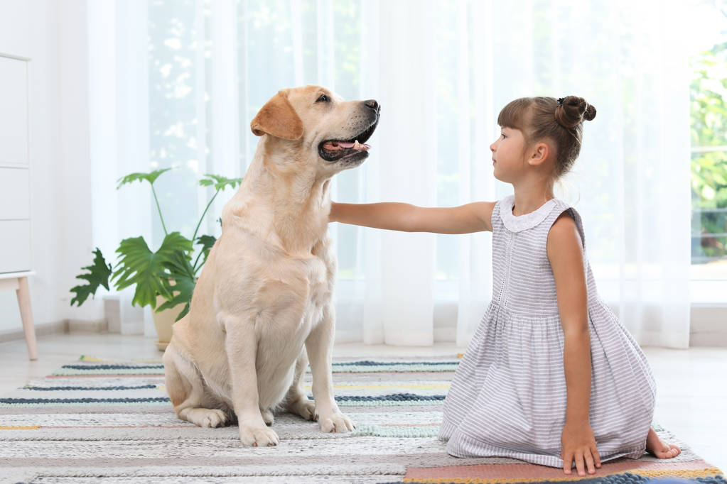 Urocza yellow labrador retriever i mała dziewczynka w domu - Zdjęcie, obraz