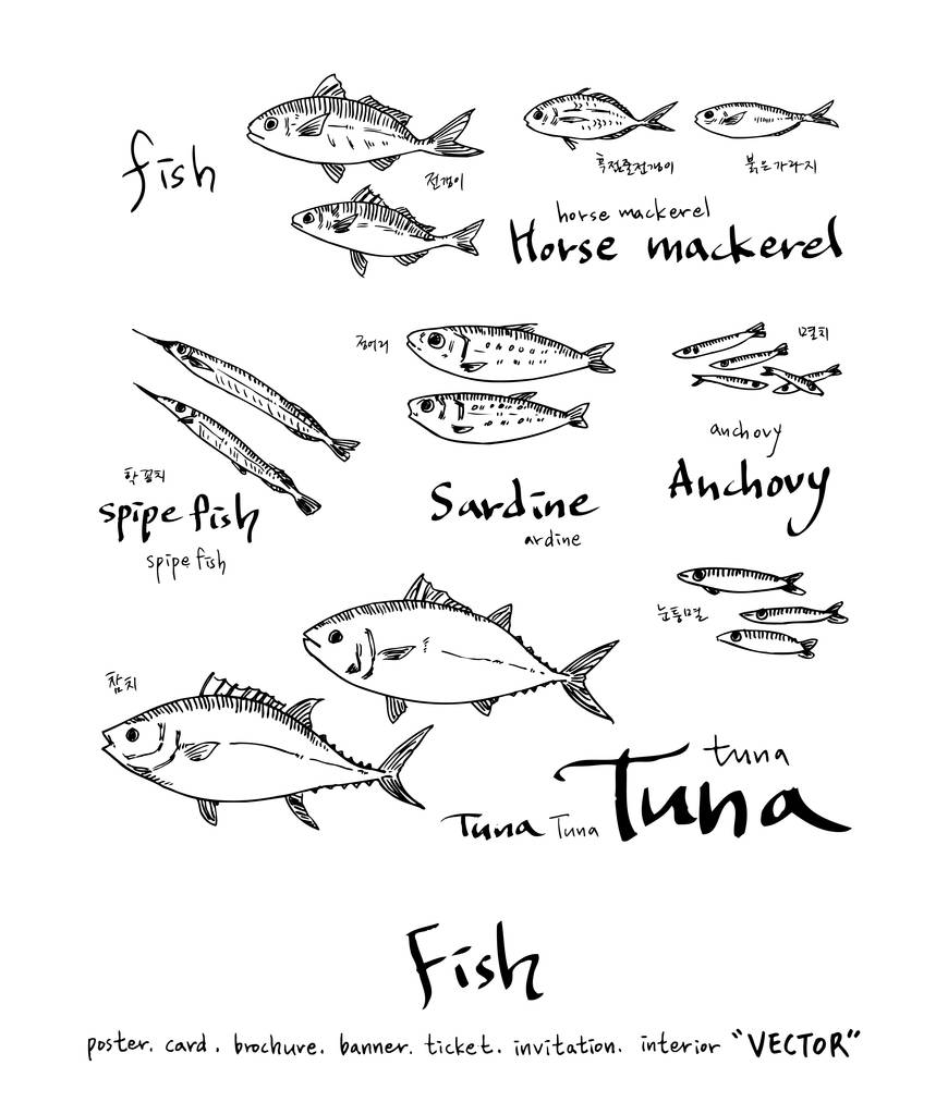 morze jedzenie ilustracje / ręcznie rysowane składników żywności - wektor - Wektor, obraz